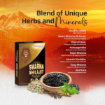 Patanjali Swarna Shilajit Capsule 10Pc/ Packet - Image 2