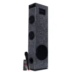 70W Party Speaker with LED Display and FM Radio