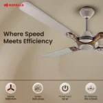 Havells Ceiling Fan for Living Room